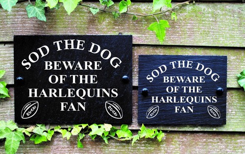Sod the dog - sod,